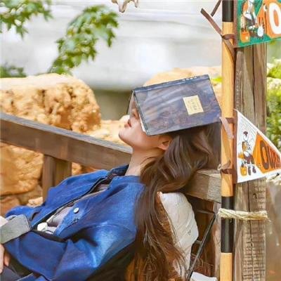 成为顶级明星的前一天